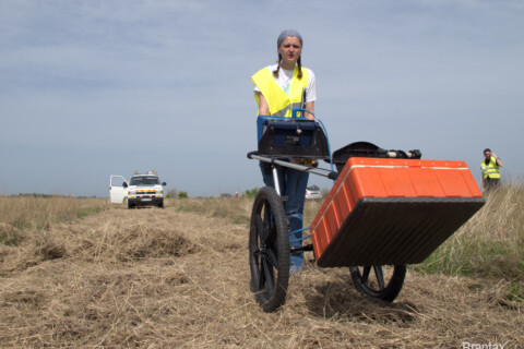 Investigatii electromagnetice (a-4)