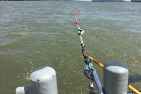 Prospectarea Lacurilor si Raurilor (a-2)