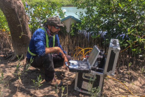 Cercetare Contaminare Anorganica (a-1)