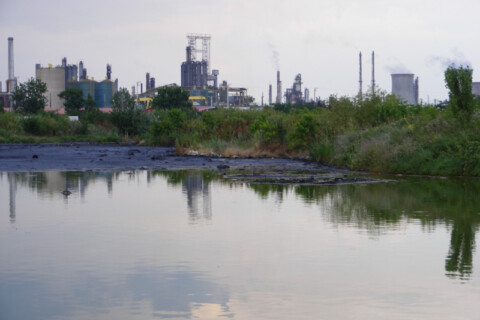 Cercetare Contaminare Anorganica (a-4)