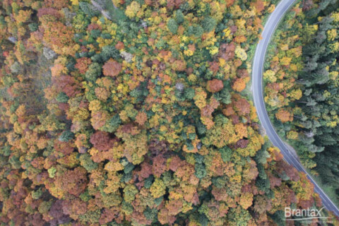 Fotografie Aeriana (c-3)