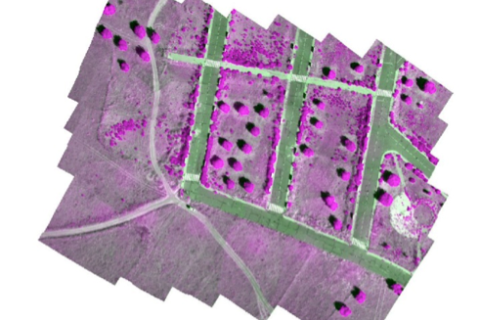 Fotografii Multispectrale (a-1)
