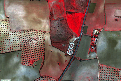 Fotografii Multispectrale (a-4)