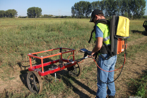 Domeniul de frecventa (FD) si domeniul timp (TD) (a-4)